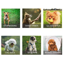 Adjustable Ultrasonic Dog Whistle Training Control Devices for Dog