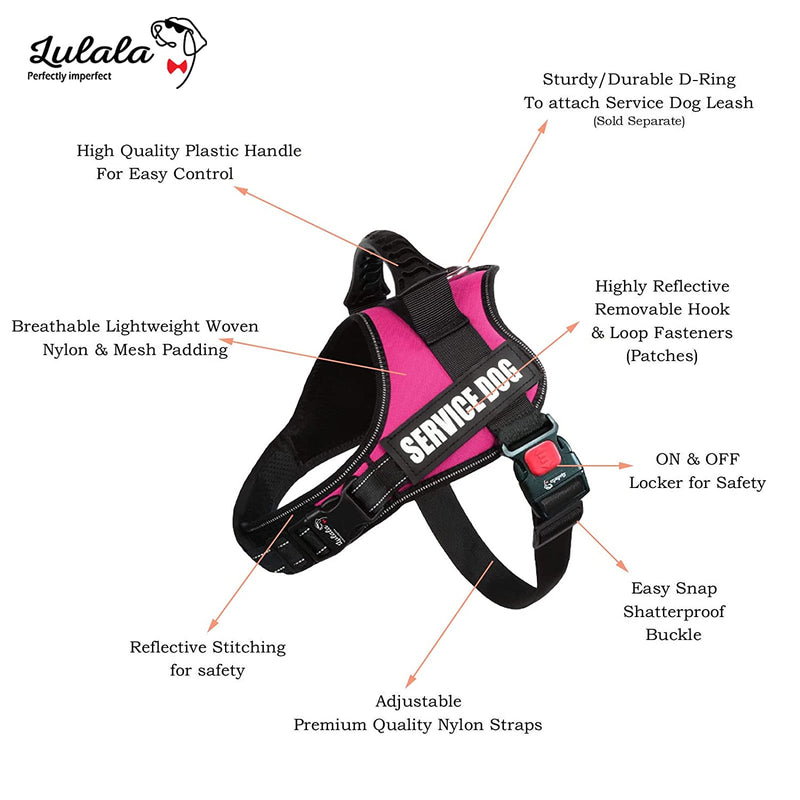 Breathable Adjustable Pet Harness For Outdoor