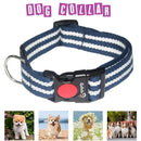 Neck Collar & Leash Set For Dogs