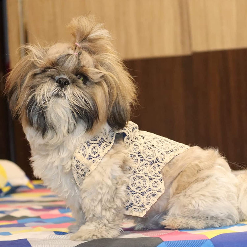Lulala Dog Stylish Coat Costume ,Formal Wedding Shirt For Pets
