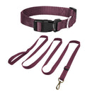 Nylon Collar And Leash Set For Small Medium Dogs