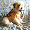 Summer Shirts with Bow Tie For Pets