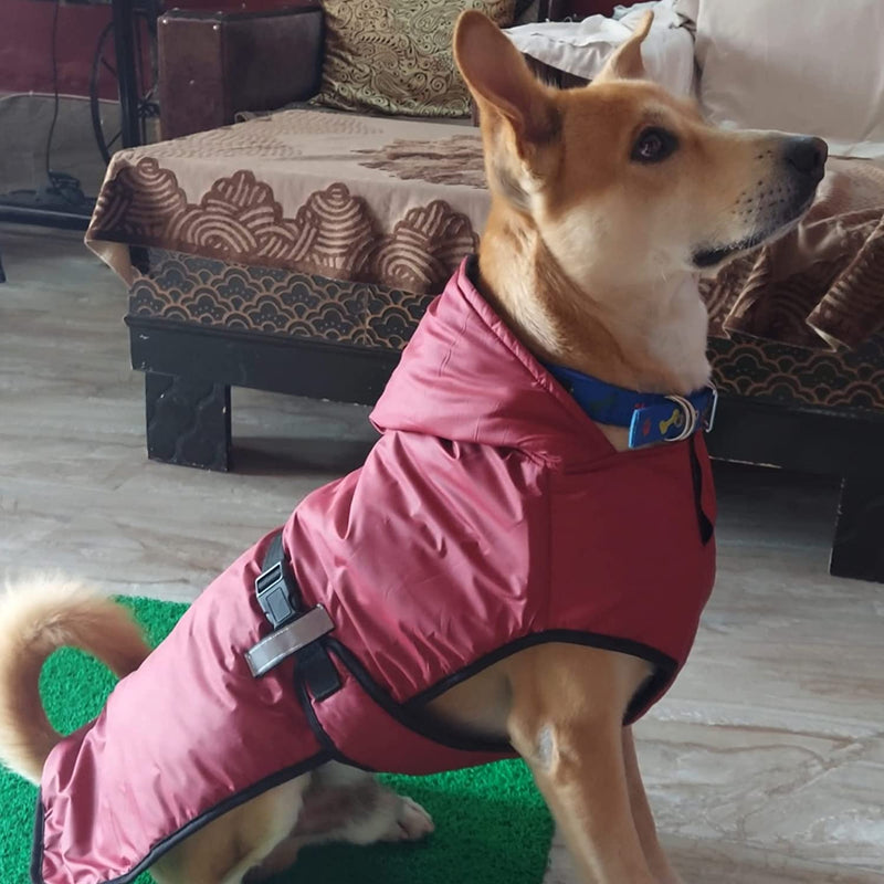 Winter Jacket For Dog Cats And Rabbit