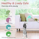 Modern Cat Wand Toy With Bell & Tassel Fun Cat Toy