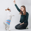 Disposable Dog Diapers for Male Dogs - Stylish Jeans Design