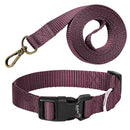 Nylon Collar And Leash Set For Small Medium Dogs