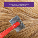 Premium Stainless Steel Pet Brush with Paw Print Handle