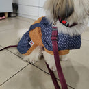 Nylon Collar And Leash Set For Small Medium Dogs