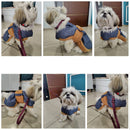 Nylon Collar And Leash Set For Small Medium Dogs