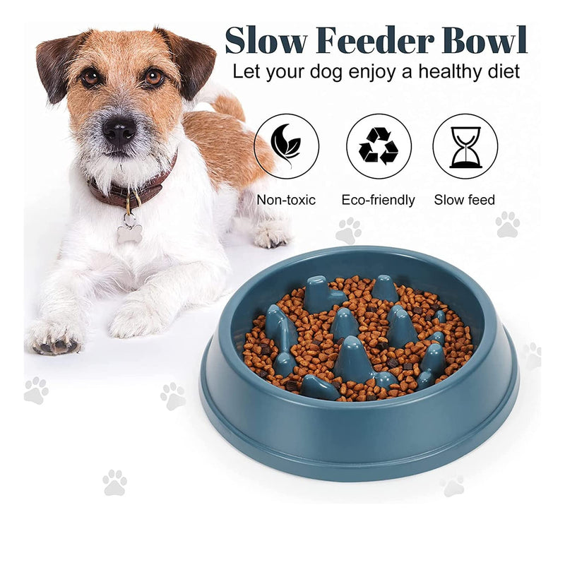 Emily Pets Durable Dog Slow Feeder Bowl Dog Food Bowl Slow (Green,Blue,Yellow,Pink)
