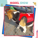 Summer T-shirt For Pets