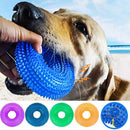 Large Spike Squeaky Ring Chew Toy for Dogs (Color Varies)