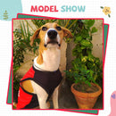 Summer T-shirt For Pets