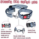 Neck Collar & Leash Set For Dogs