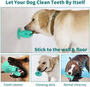 Dog Toothbrush Chew Toy for Aggressive Chewers