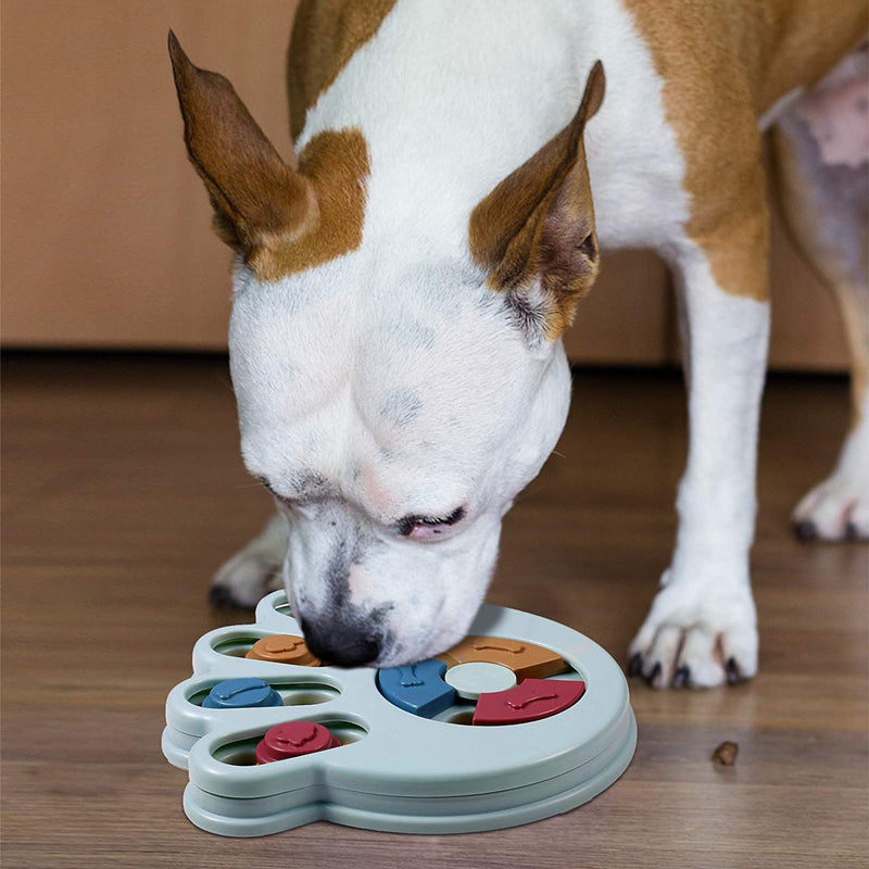 FASOON Interactive Dog Food Puzzle Toy