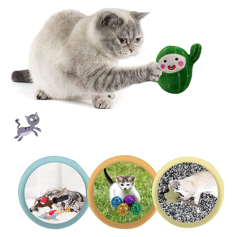 Toys For Cats (Pack of 6, Color May Vary)