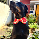 Dog Bandana Collar Bow Ties for Puppy and Cats