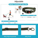 Neck Collar & Leash Set For Dogs