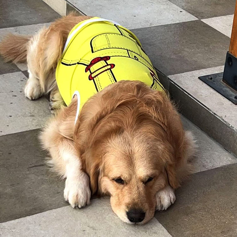 Summer T-shirt For Pets