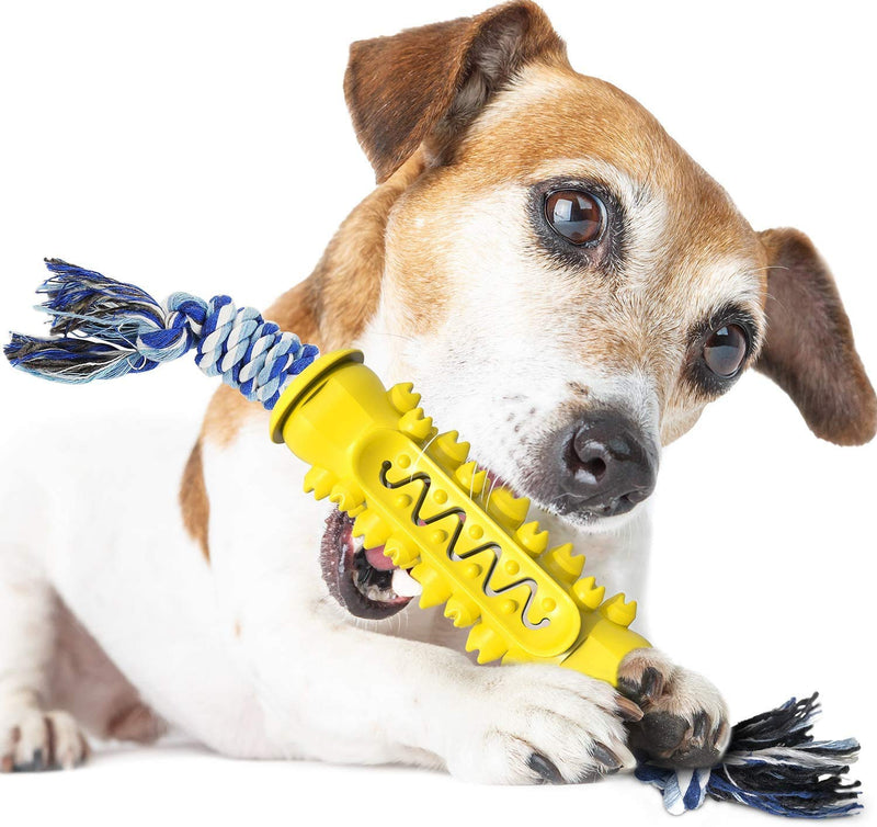 Dog Toothbrush Chew Toy for Dogs