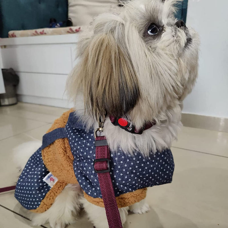 Nylon Collar And Leash Set For Small Medium Dogs