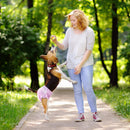 Disposable Female Dog Diapers with Adjustable Tail Hole