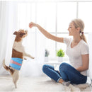 Disposable Male Dog Diapers - Fashion Jeans Design (Medium)
