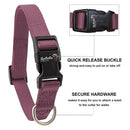 Nylon Collar And Leash Set For Small Medium Dogs