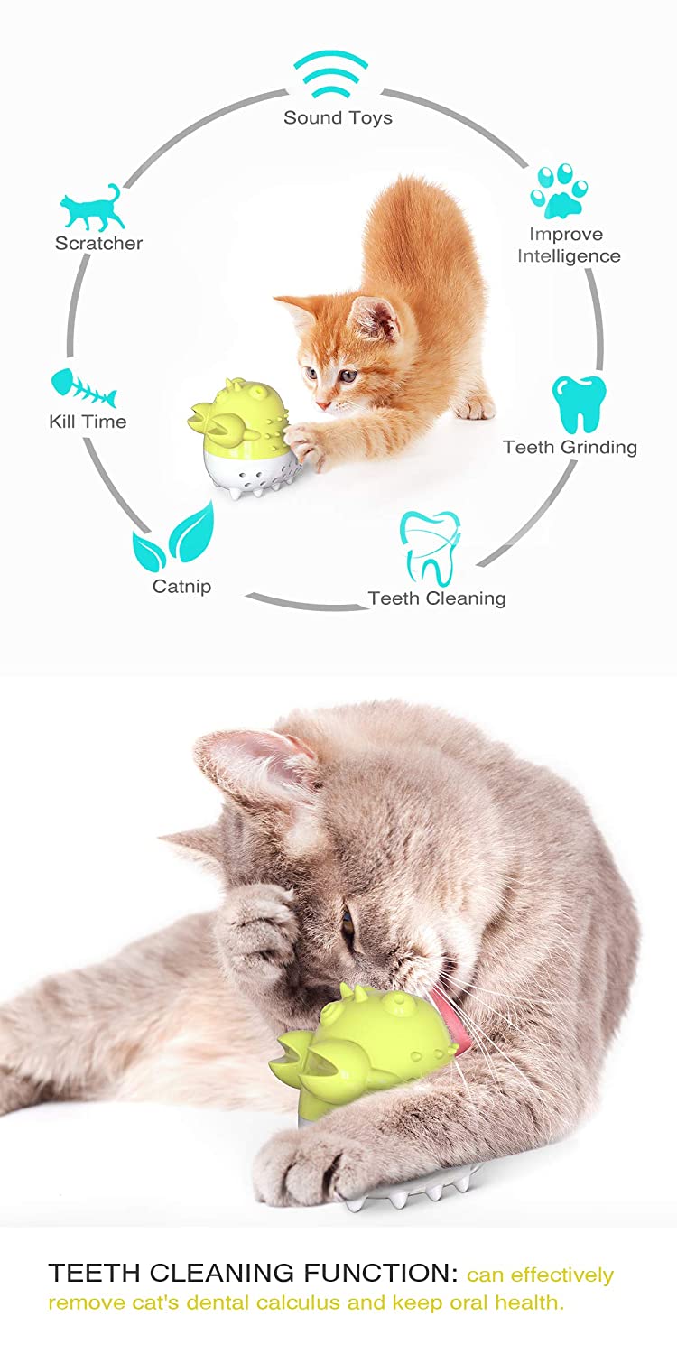 Emily Pets Cat Teeth Cleaning Chew Toy with Sound and Catnip Balls