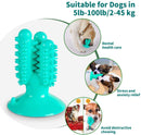 Dog Toothbrush Chew Toy for Aggressive Chewers