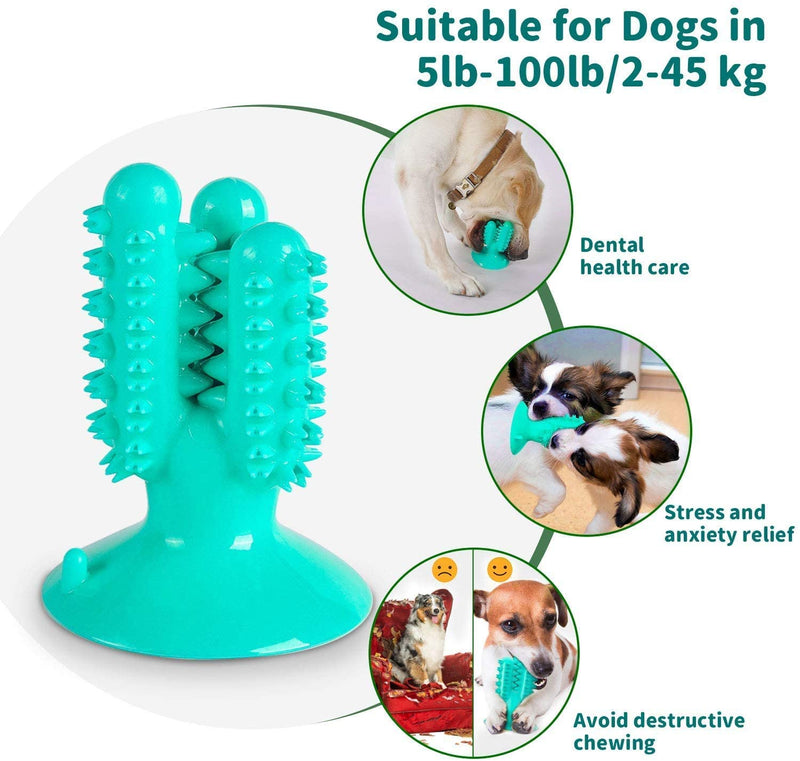DogsToothbrush Dog Chew Toy for Aggressive Chewers Durable Puppy
