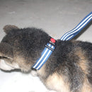 Neck Collar & Leash Set For Dogs