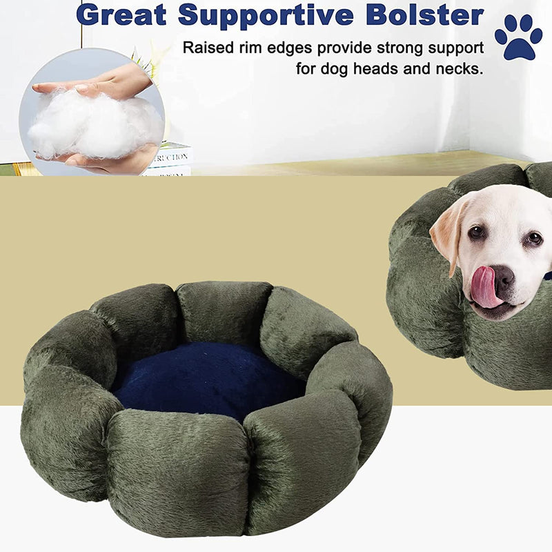 Round Flower Bed For Pets
