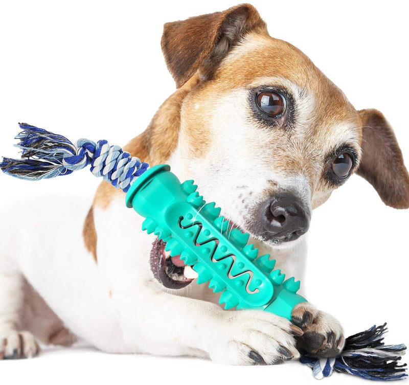 Dog Toothbrush Chew Toy for Dogs