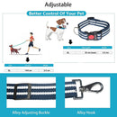 Neck Collar & Leash Set For Dogs