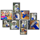 Self-Cleaning Grooming Slicker Brush Comb For Pets (Small)