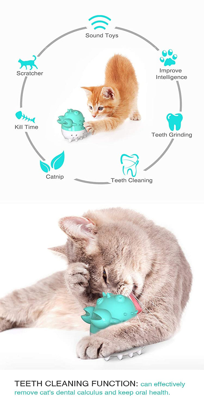 Cat Teeth Cleaning Chew Toy with Sound and Catnip Balls