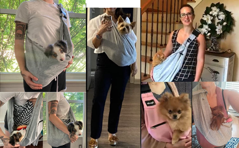 Emily Pets Sky Blue-Cream Backpack Pet Carrier For Dog Cat Medium