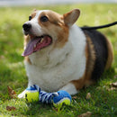 Rope Toys For Dogs & Puppies (Pack of 3)