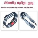 Neck Collar & Leash Set For Dogs