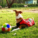 Summer T-shirt For Pets