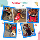 Summer T-shirt For Pets