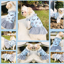 Summer Cute Dress For Pets