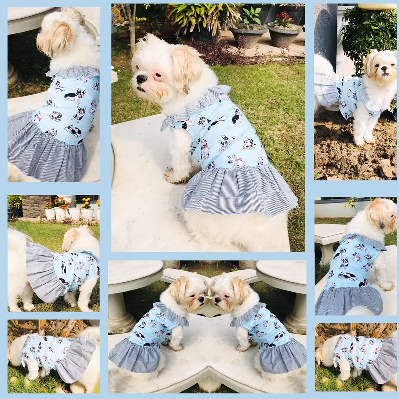 Lulala Pet Apparel Dog Princess Dresses Puppy Print Dress for Pets(XS,S,M,L,XL,Sky Blue)