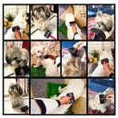 Auto Self Cleaning Slicker Hair Brush For Dogs & Puppies