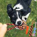 Rope Toys For Dogs & Puppies (Pack of 3)