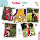 Summer T-shirt For Pets