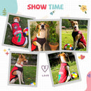 Summer T-shirt For Pets