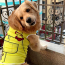Summer T-shirt For Pets